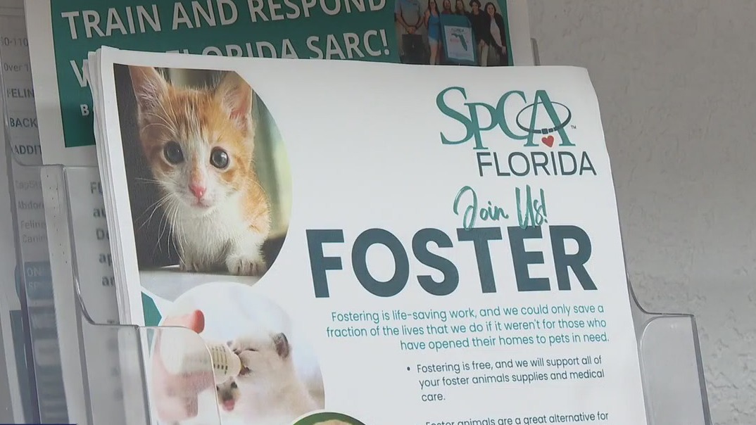 SPCA needs foster parents